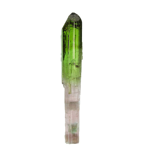 Tourmaline 
(Scepter)