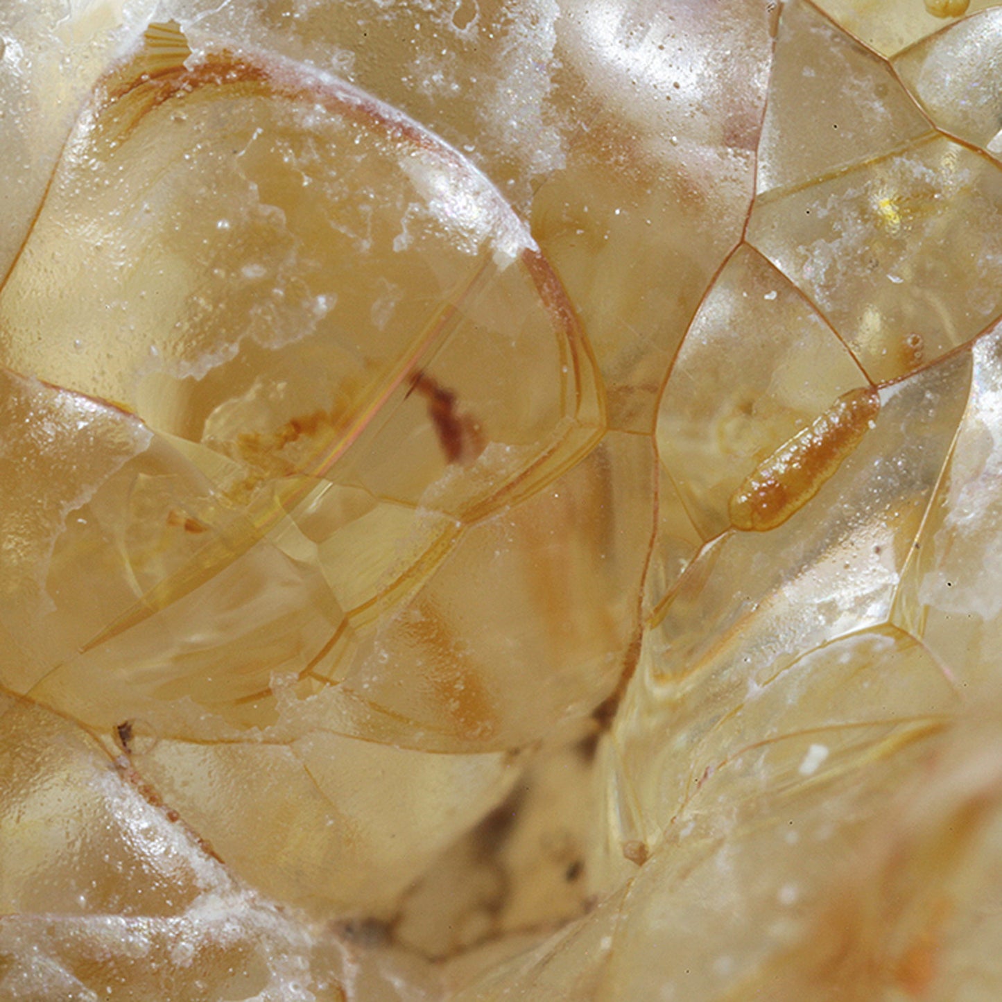 Opal 
(var: Opal-AN) / (var: Hyalite Opal) 
(“Blood Vessel Opal”)