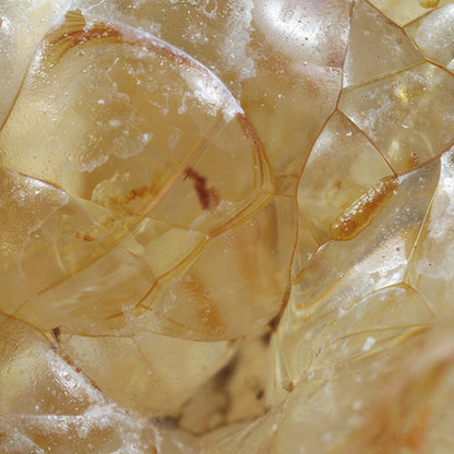 Opal 
(var: Opal-AN) / (var: Hyalite Opal) 
(“Blood Vessel Opal”)