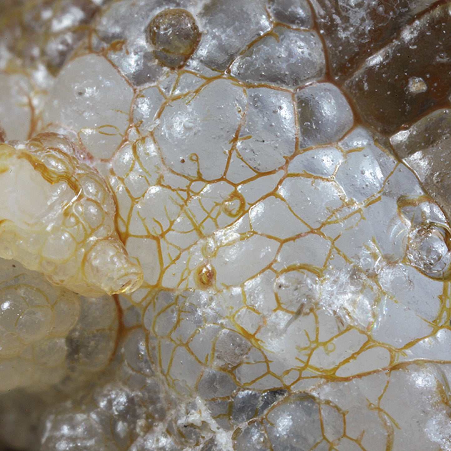 Opal 
(var: Opal-AN) / (var: Hyalite Opal) 
(“Blood Vessel Opal”)