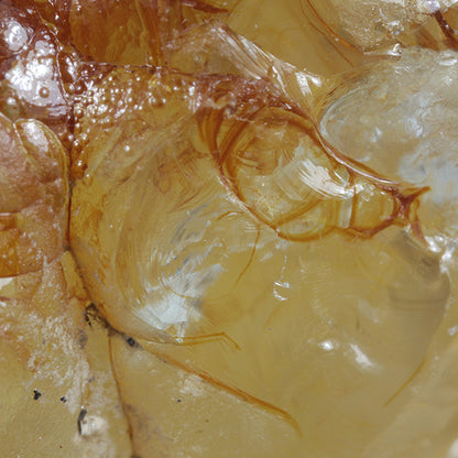 Opal 
(var: Opal-AN) / (var: Hyalite Opal) 
(“Blood Vessel Opal”)