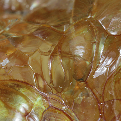 Opal 
(var: Opal-AN) / (var: Hyalite Opal) 
(“Blood Vessel Opal”)