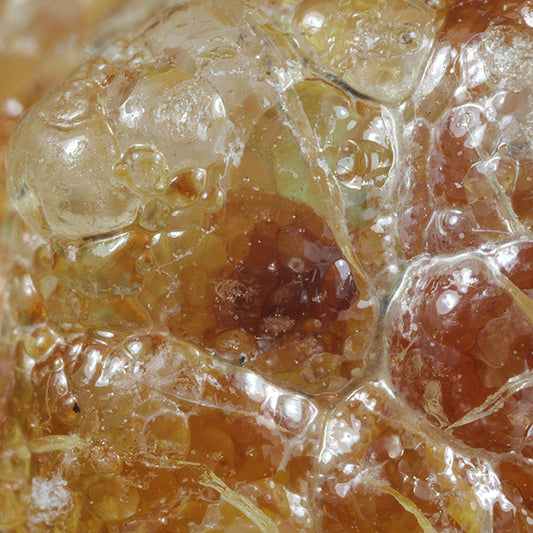 Opal 
(var: Opal-AN) / (var: Hyalite Opal) 
(“Blood Vessel Opal”)