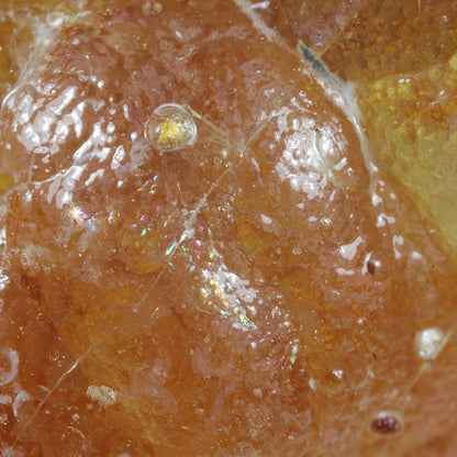 Opal 
(var: Opal-AN) / (var: Hyalite Opal) 
(“Blood Vessel Opal”)
