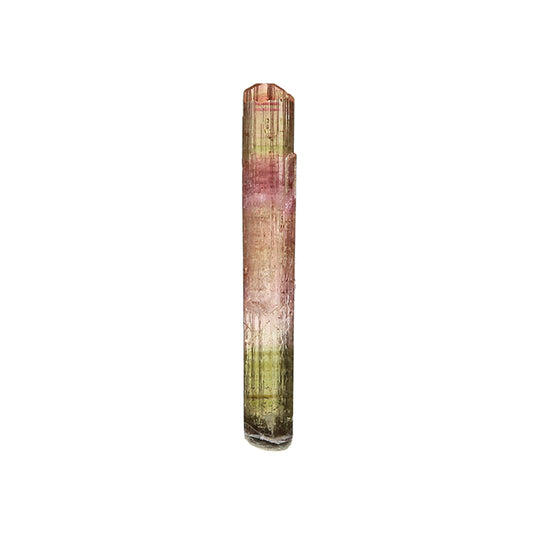 Tourmaline 
(Fluor-Liddicoatite)