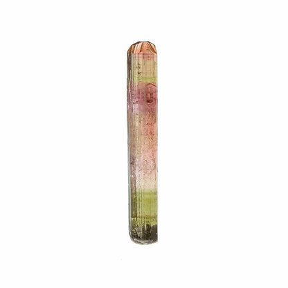 Tourmaline 
(Fluor-Liddicoatite)