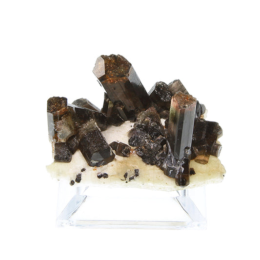 Tourmaline 
(Fluor-Liddicoatite)