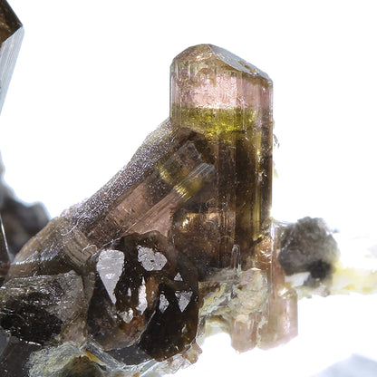 Tourmaline 
(Fluor-Liddicoatite)
