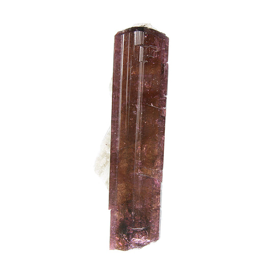 Tourmaline 
(Fluor-Liddicoatite)