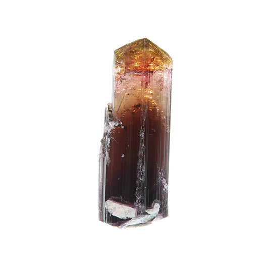 Tourmaline 
(Fluor-Liddicoatite)