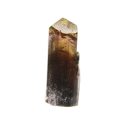 Tourmaline 
(Fluor-Liddicoatite)