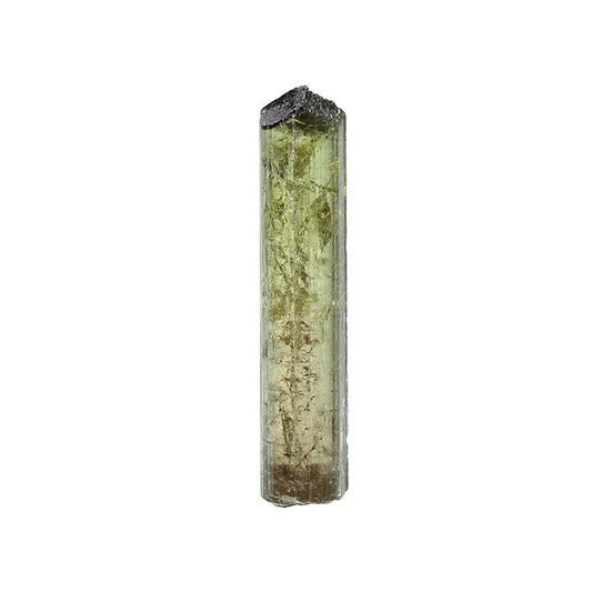 Tourmaline 
(Fluor-Liddicoatite)