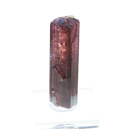 Tourmaline 
(Fluor-Liddicoatite)