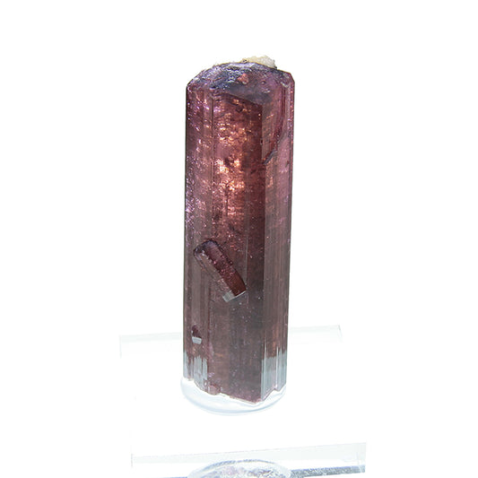 Tourmaline 
(Fluor-Liddicoatite)