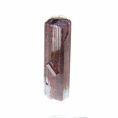 Tourmaline 
(Fluor-Liddicoatite)