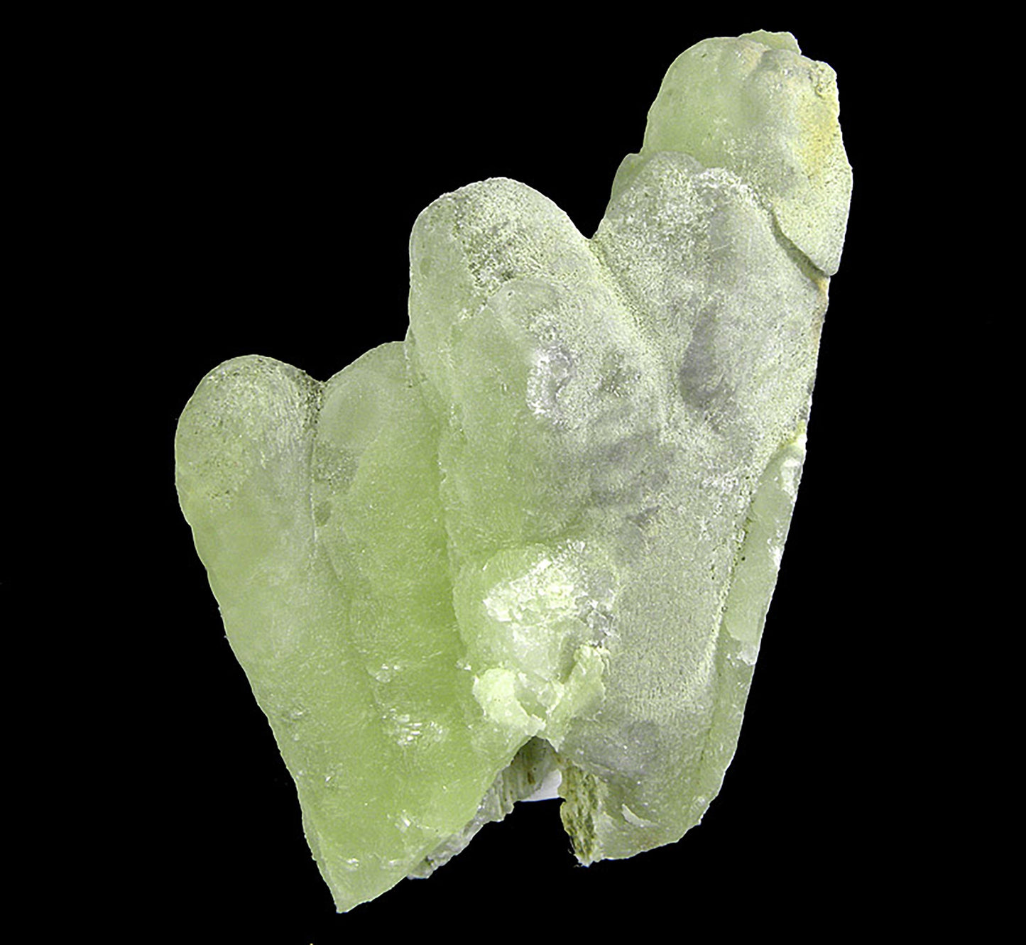 Prehnite finger cast after Anhydrite