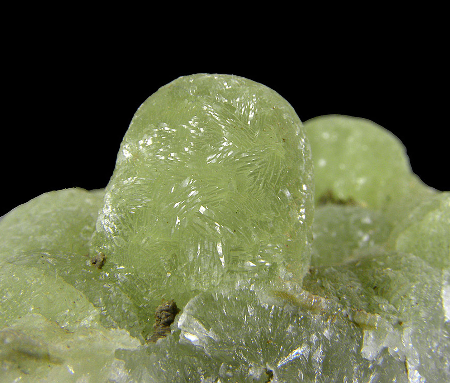 Prehnite finger cast after Anhydrite