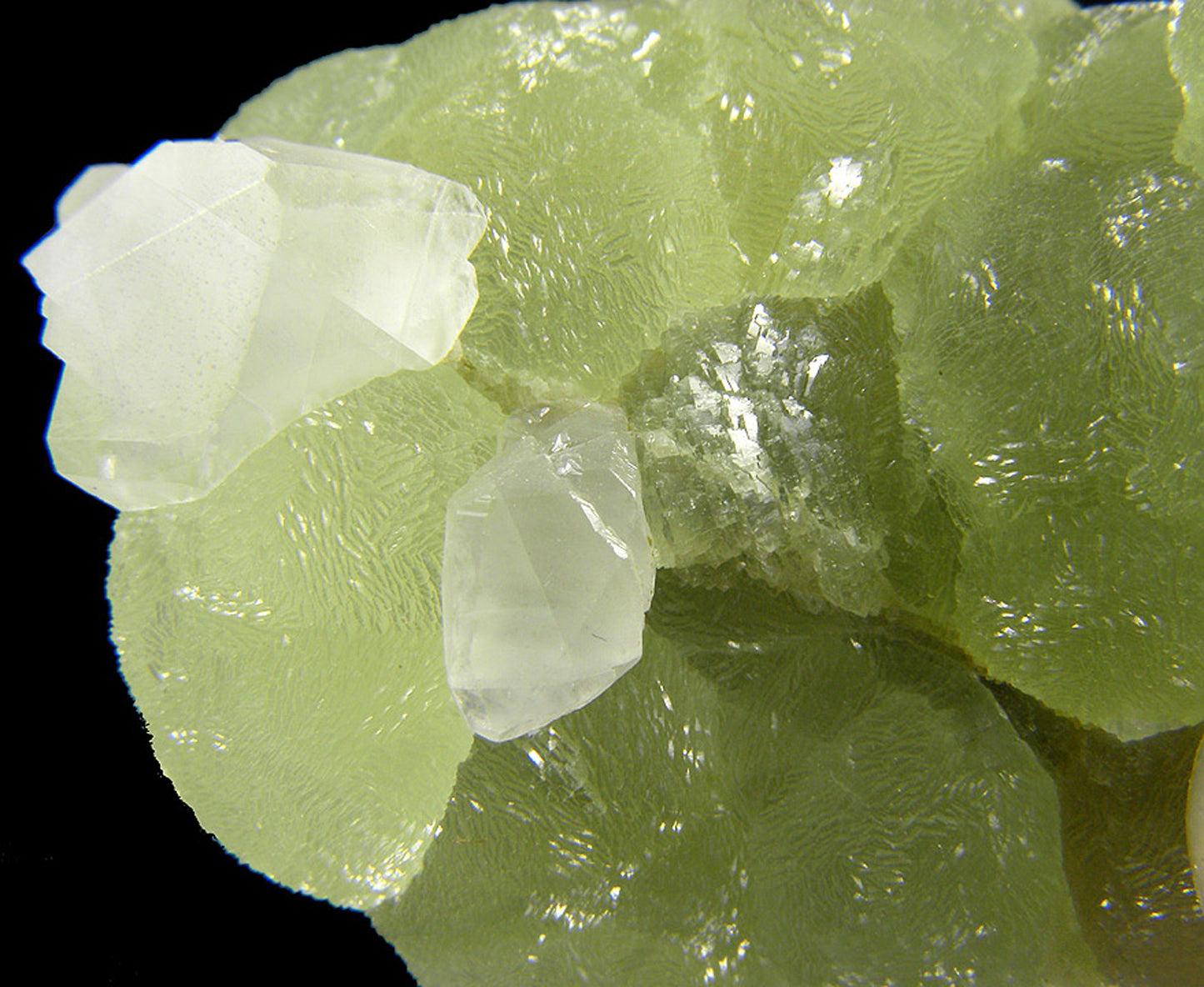 Prehnite finger cast after Anhydrite with Calcite