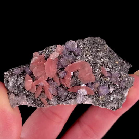 Rhodochrosite with Purple Apatite
