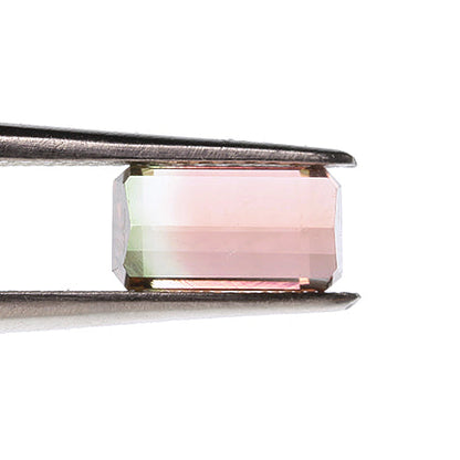 Tourmaline 
(Tricolor)