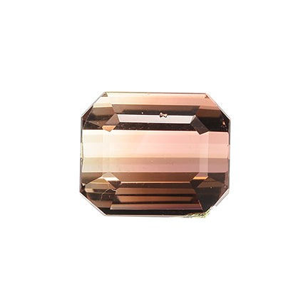Tourmaline 
(Unusual Bicolor)