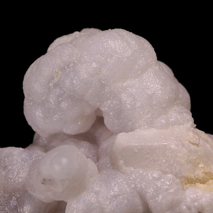 Opal 
(Pink and Lavender)