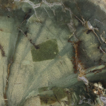 Petrified Wood with Banded Agate
(incredibly rare color)