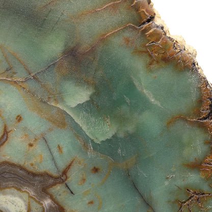 Petrified Wood with Banded Agate
(incredibly rare color)