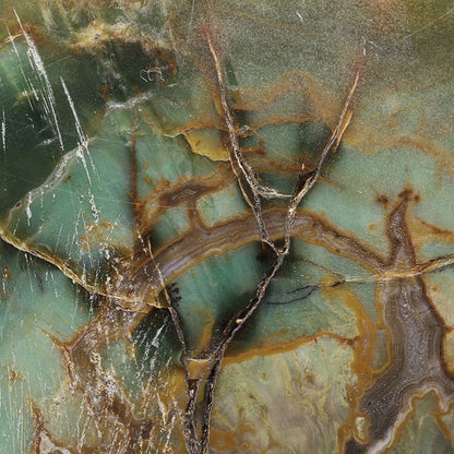 Petrified Wood with Banded Agate
(incredibly rare color)