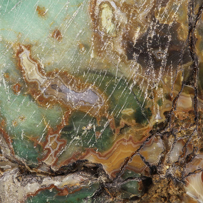 Petrified Wood with Banded Agate
(incredibly rare color)