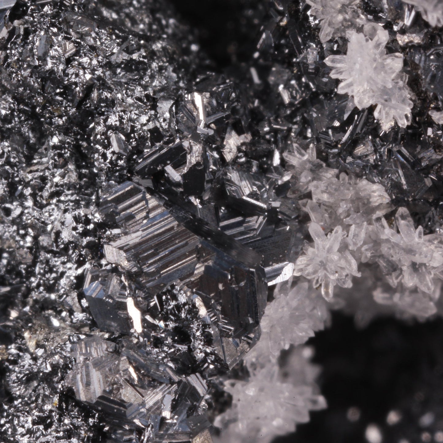 Polybasite 
(pseudomorph after Acanthite)
