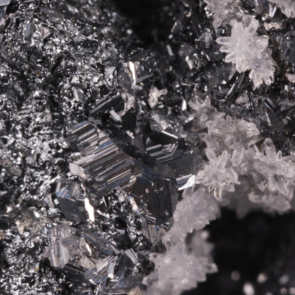 Polybasite 
(pseudomorph after Acanthite)